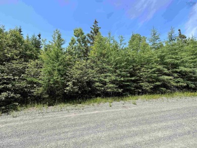 Bras d Or Lake Lot For Sale in Cape George Estates 