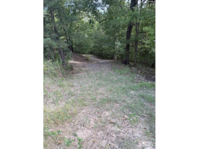 Lake Lot For Sale in Ridgeway, South Carolina