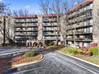 (private lake, pond, creek) Condo Active Under Contract in Palatine Illinois
