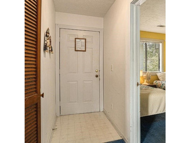 Welcome to this bright and inviting 2-bedroom, 2-bath condo - photo 5