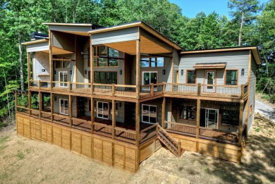 Lake Blue Ridge Home Active Under Contract in Blue Ridge Georgia