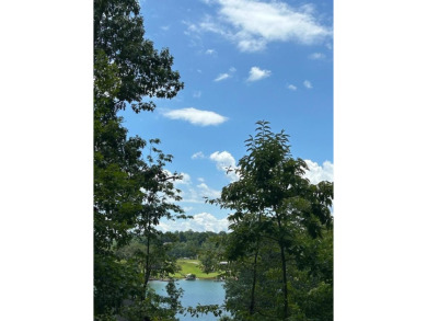Lake Lot For Sale in Hayesville, North Carolina