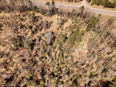Tucked away on 6.6 rolling acres in Land O' Lakes, this - photo 5