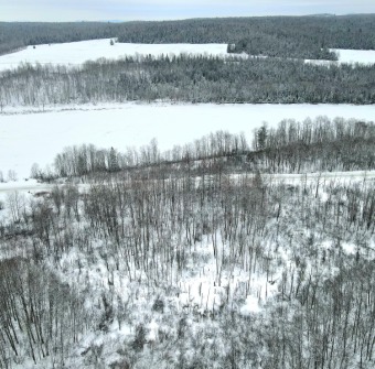 Aroostook River Acreage For Sale in Wade Maine
