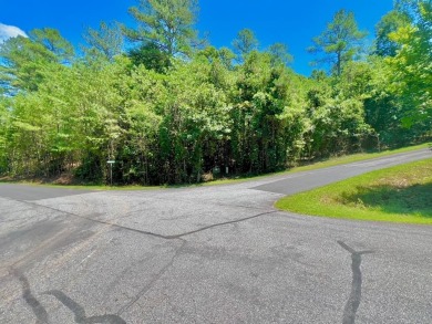 Lake Acreage For Sale in Young Harris, Georgia
