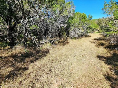 This unrestricted wooded lot offers endless posibilities located - photo 12