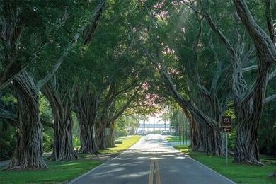 Set along the palm-lined stretch of Bridge Road, less than a - photo 14