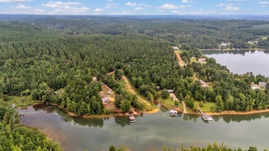 Smith Lake (Clear Creek) A 3BR/1BA cottage tucked away in a cove - photo 30