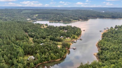Smith Lake (Clear Creek) A 3BR/1BA cottage tucked away in a cove - photo 31