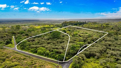 Exceptional investment opportunity! Totaling nearly 43 acres - photo 3