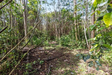 Exceptional investment opportunity! Totaling nearly 43 acres - photo 10
