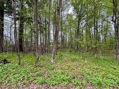 Big Twin Lake Lot For Sale in Pickerel Wisconsin