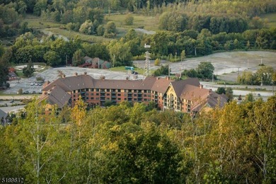 Stunning Pool & Ski Mountain Views!! This very rare Studio Plus - photo 9
