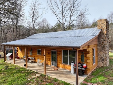 Lake Nottely Home For Sale in Morganton Georgia