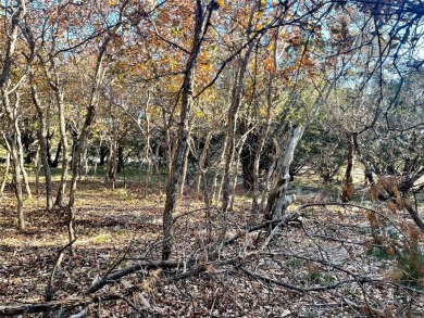 Lake Lot For Sale in Possum Kingdom Lake, Texas