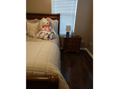 Ranch villa. Maintenance free living. Beautiful home move in - photo 9