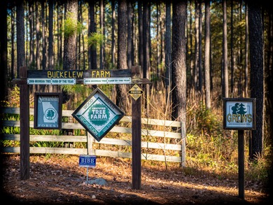 Located just minutes from historic Macon, Georgia, Buckelew Farm - photo 8