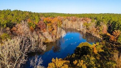 Located just minutes from historic Macon, Georgia, Buckelew Farm - photo 9