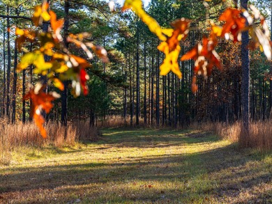 Located just minutes from historic Macon, Georgia, Buckelew Farm - photo 10