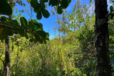 FANTASTIC PRICE and a GREAT LOCATION on this 12,632 sq. ft. lot - photo 22