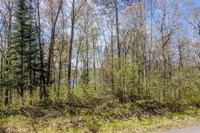 An exceptional opportunity on Little Bearskin Lake- 1.55 acres - photo 3