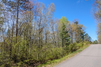 An exceptional opportunity on Little Bearskin Lake- 1.55 acres - photo 4