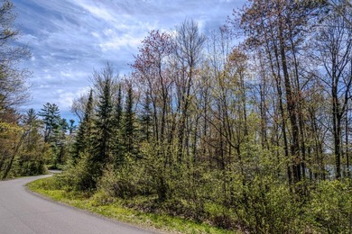 An exceptional opportunity on Little Bearskin Lake- 1.55 acres - photo 5