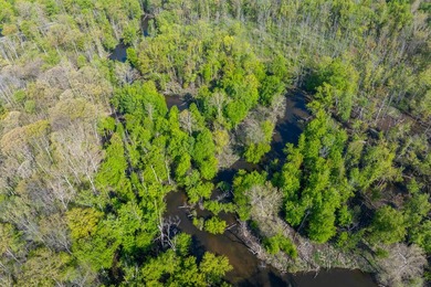 Set in a peaceful, secluded location, this 4 bedroom, 2 bathroom - photo 35