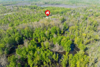 Set in a peaceful, secluded location, this 4 bedroom, 2 bathroom - photo 37