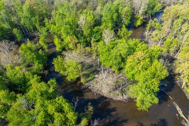 Set in a peaceful, secluded location, this 4 bedroom, 2 bathroom - photo 38