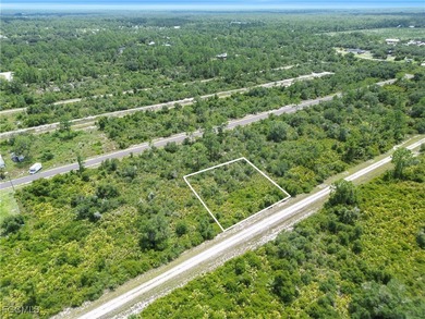 Lehigh Acres Area Lot For Sale in Alva Florida