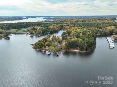 Lake Home For Sale in Terrell, North Carolina
