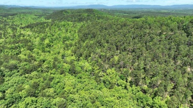 Lake Acreage For Sale in Mena, Arkansas