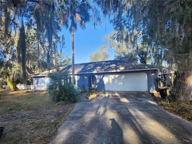 Spring Lake - Marion County Home For Sale in Ocala Florida