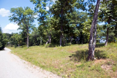 Bring Your Cabin Plans for this .84 Acre Lot - photo 3