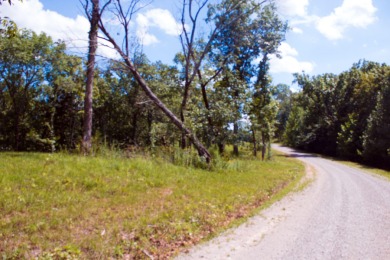 Bring Your Cabin Plans for this .84 Acre Lot - photo 4