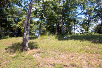 Bring Your Cabin Plans for this .84 Acre Lot - photo 5