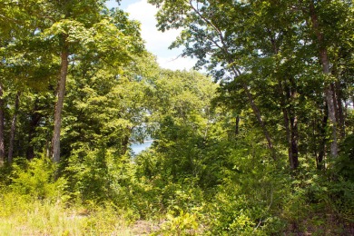 Bring Your Cabin Plans for this .84 Acre Lot - photo 6