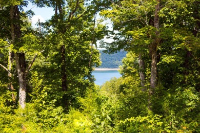Bring Your Cabin Plans for this .84 Acre Lot - photo 7