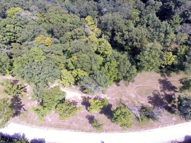 Bring Your Cabin Plans for this .84 Acre Lot - photo 9