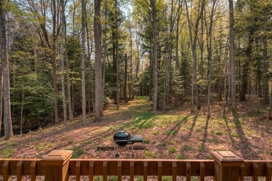 Three Lakes Chain - Turnkey Cabin - Newer Construction - Don't - photo 5