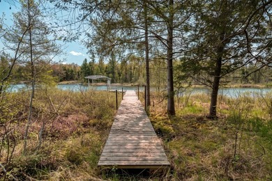 Three Lakes Chain - Turnkey Cabin - Newer Construction - Don't - photo 6