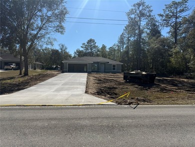 Bonable Lake Home Sale Pending in Dunnellon Florida