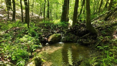 Lake Acreage For Sale in Mena, Arkansas