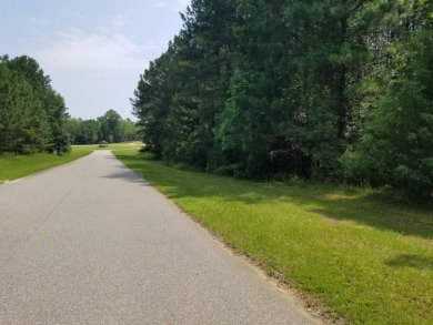 LESS THAN 200 FEET TO THE WATER'S EDGE! Come see what's - Lake Lot For Sale in Tignall, Georgia