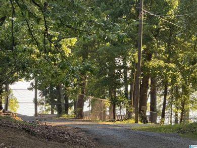 (private lake, pond, coastal) Acreage For Sale in Alpine Alabama