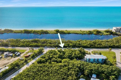 Rare opportunity to own an oversized half-acre (21,808 SF) dry - photo 3