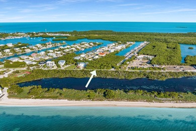 Rare opportunity to own an oversized half-acre (21,808 SF) dry - photo 5
