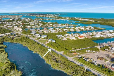 Rare opportunity to own an oversized half-acre (21,808 SF) dry - photo 7