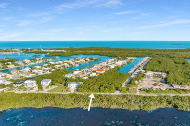 Rare opportunity to own an oversized half-acre (21,808 SF) dry - photo 8